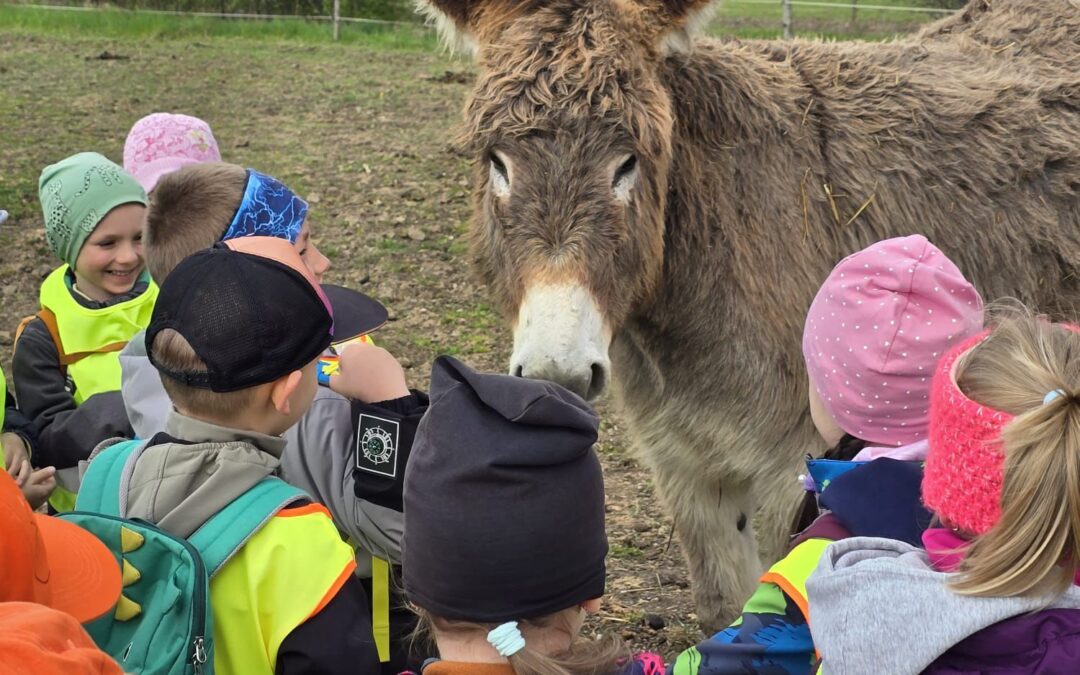 🐴🌿 Výprava za koňmi 🌿🐴