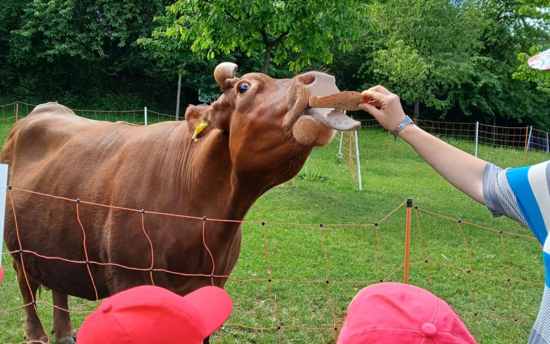 🐑 Výlet do Toulcova dvora 🐐